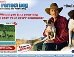 ThePerfectDog.com review scams does work reviews